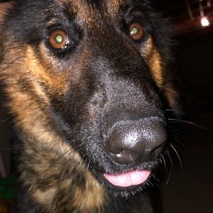 Meet your Posher, Austin